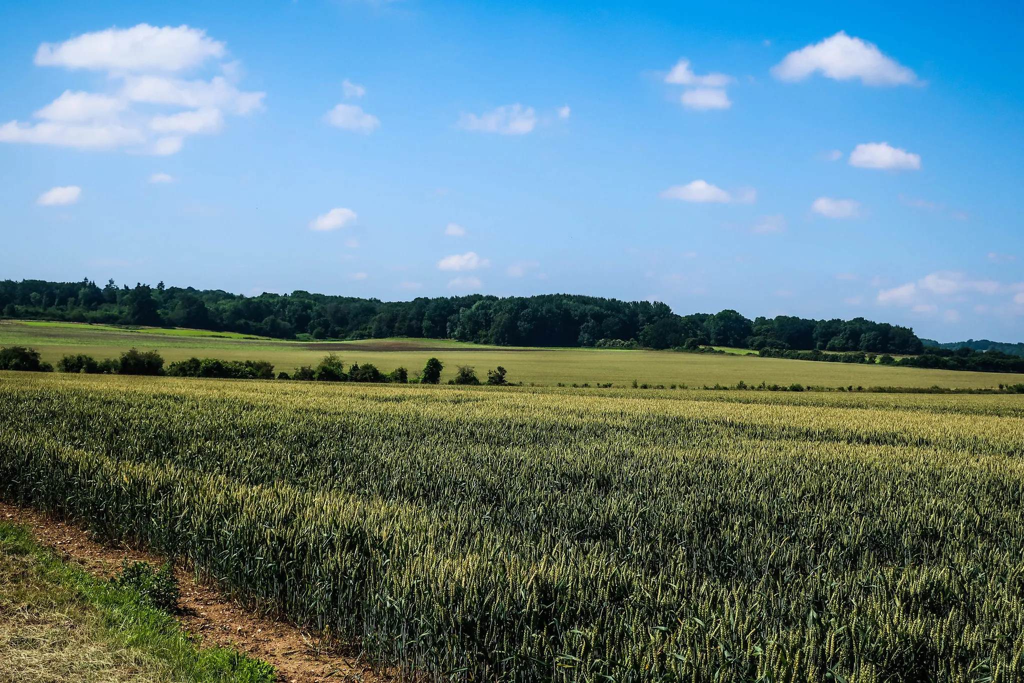 North Wessex Downs